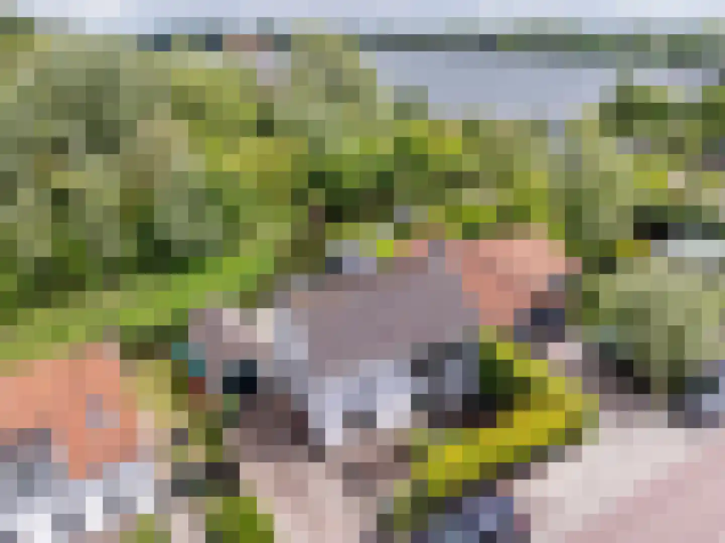 Maasdijk 21 Mijnsheerenland thumbnail 4