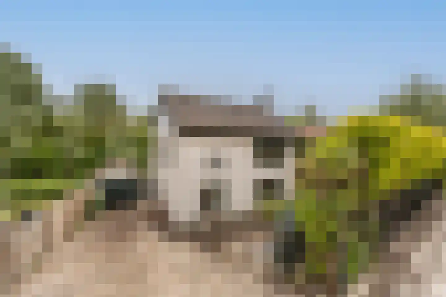 Maasdijk 21 Mijnsheerenland thumbnail 40