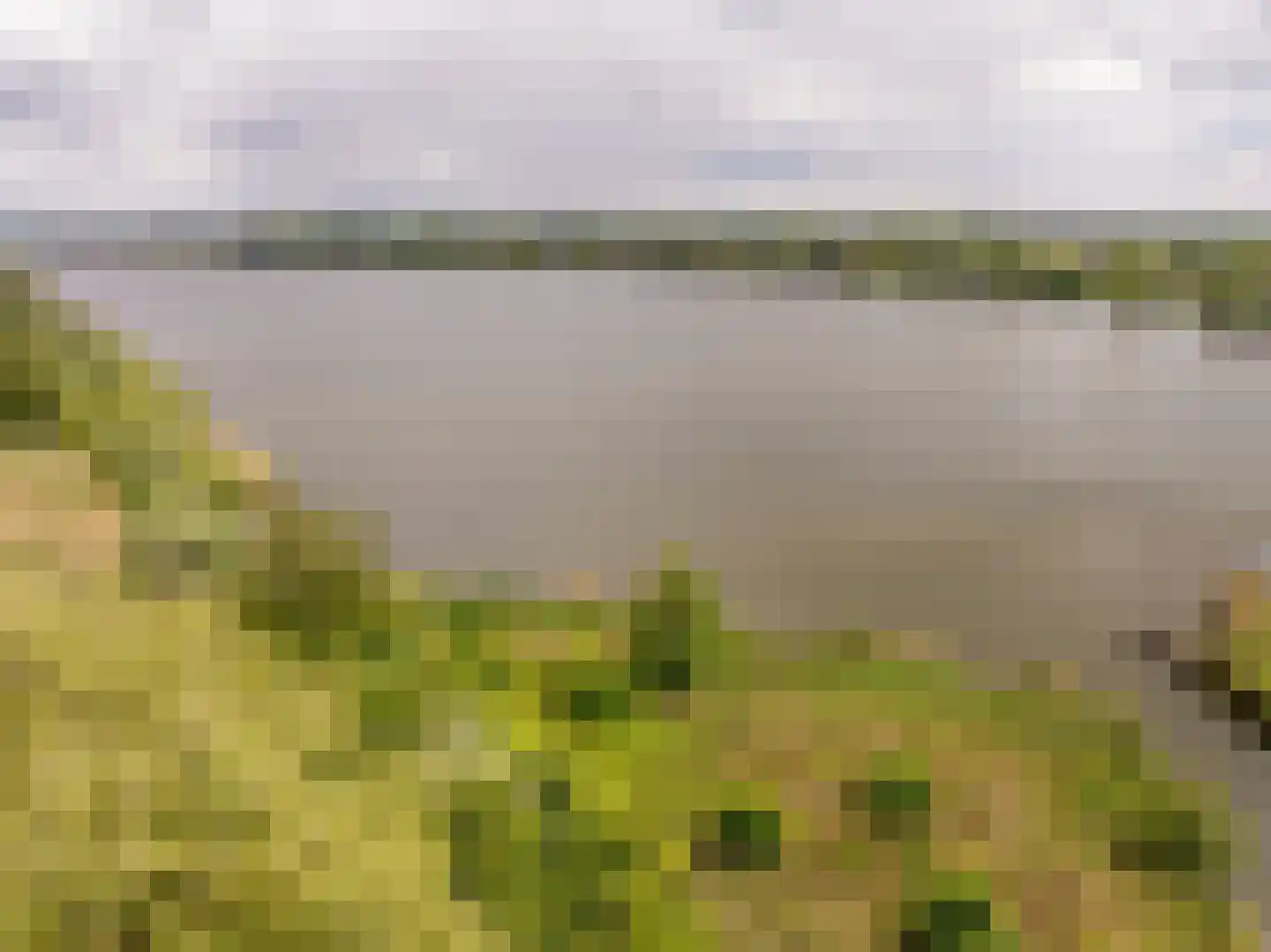 Maasdijk 21 Mijnsheerenland thumbnail 43
