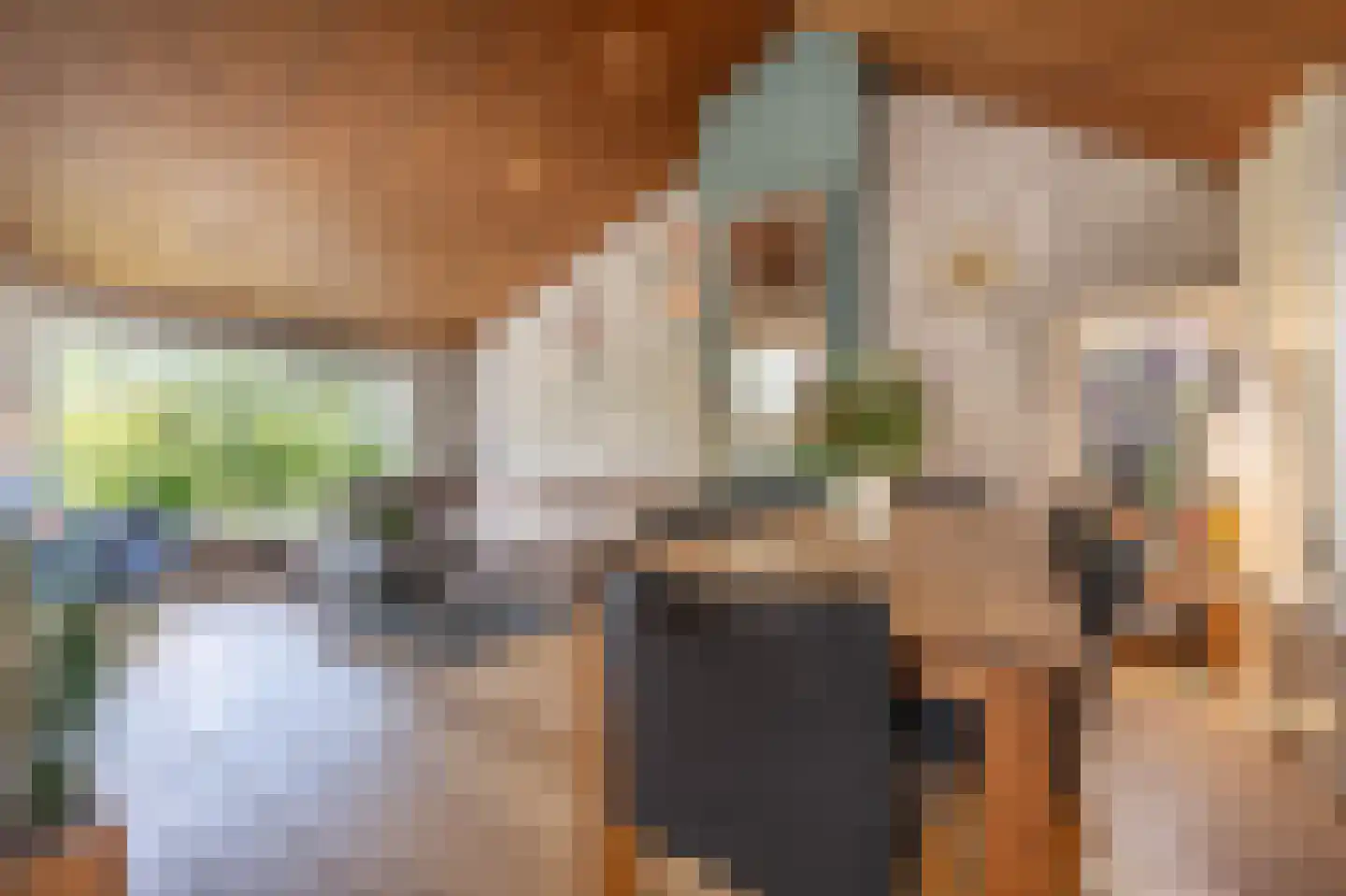 Maasdijk 21 Mijnsheerenland thumbnail 5