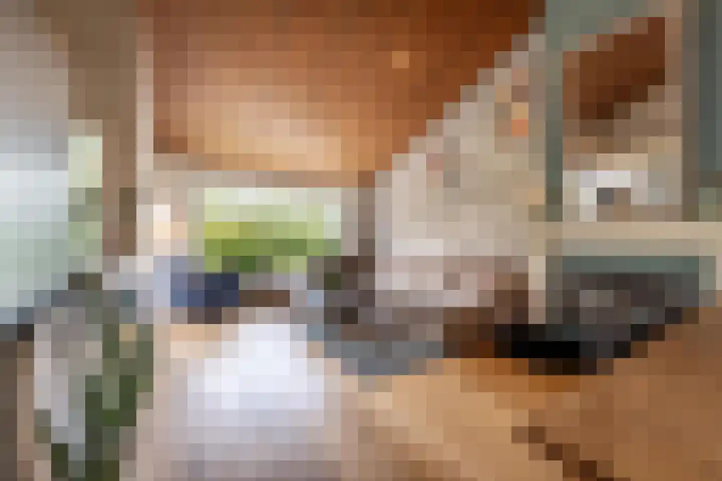 Maasdijk 21 Mijnsheerenland thumbnail 6