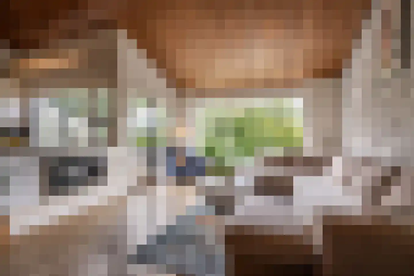 Maasdijk 21 Mijnsheerenland thumbnail 7