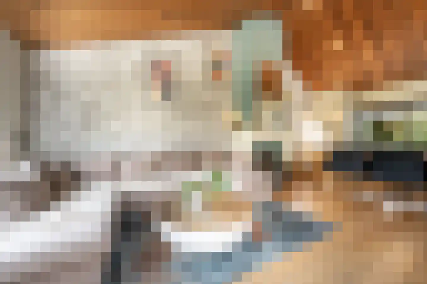 Maasdijk 21 Mijnsheerenland thumbnail 8