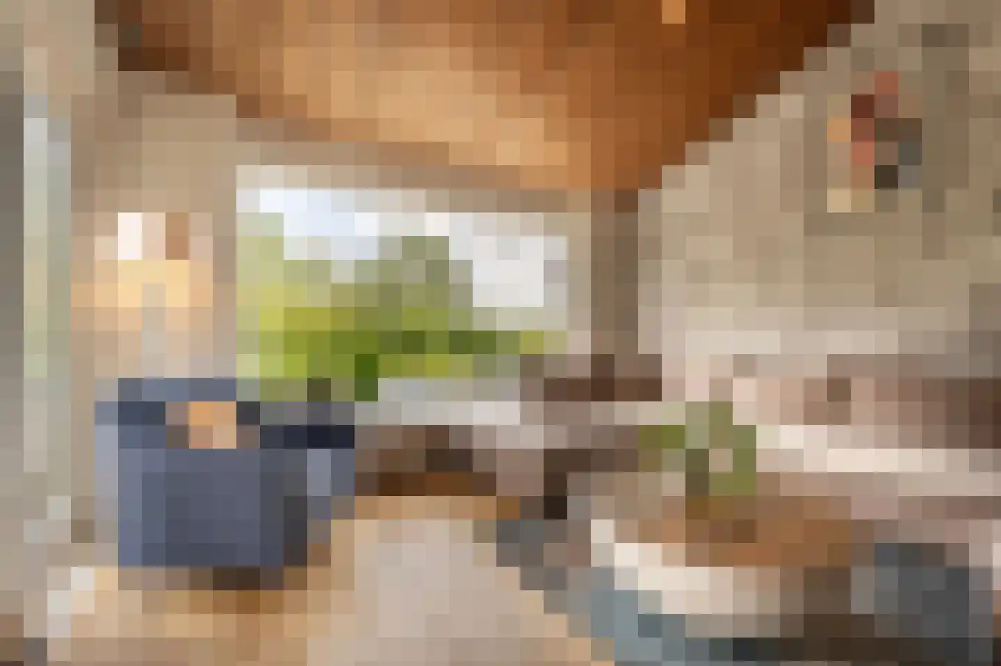 Maasdijk 21 Mijnsheerenland thumbnail 9