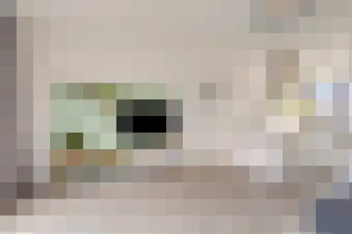 Maasdijk 212 Breda thumbnail 17