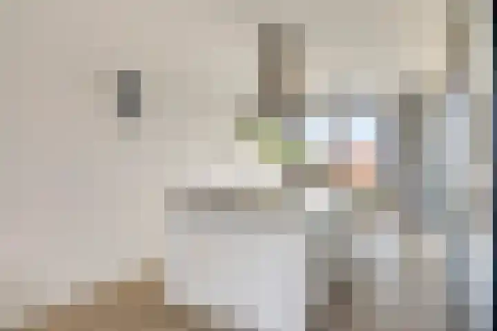Maasdijk 212 Breda thumbnail 19