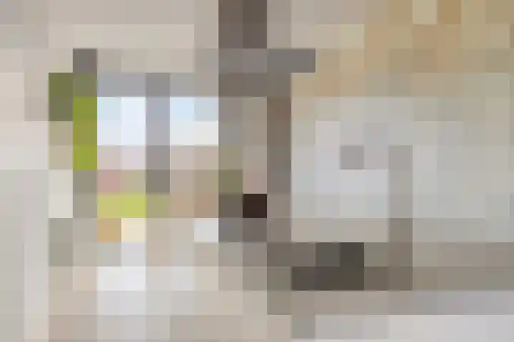 Maasdijk 212 Breda thumbnail 20