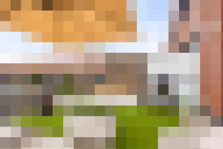 Maasdijk 212 Breda thumbnail 26