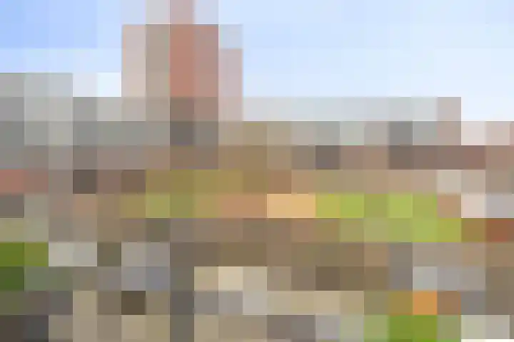 Maasdijk 212 Breda thumbnail 28