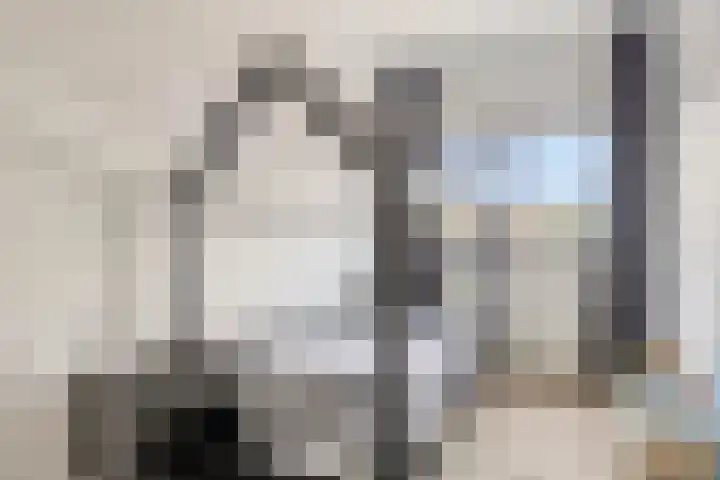 Maasdijk 212 Breda thumbnail 33