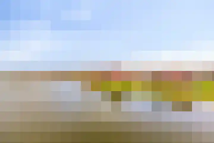 Maasdijk 212 Breda thumbnail 37