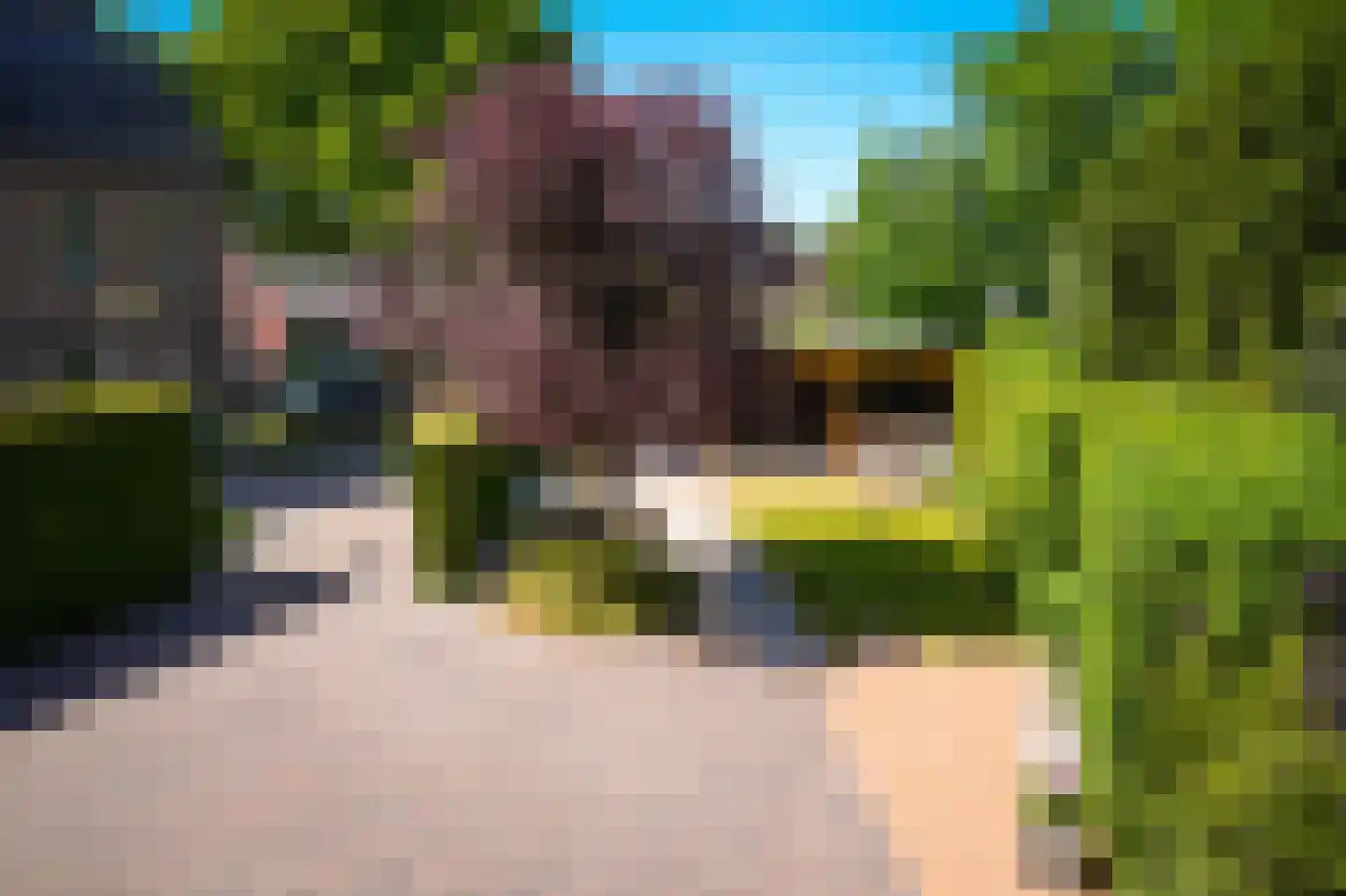 Maasdijk 22 Appeltern thumbnail 42