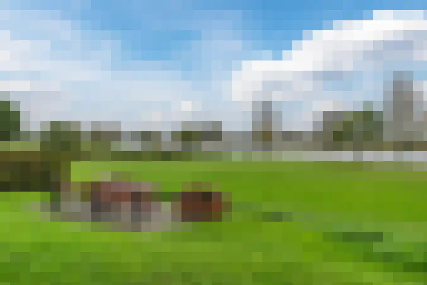 Maasdijk 22 Appeltern thumbnail 52