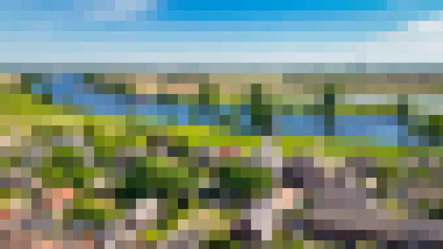 Maasdijk 22 Appeltern thumbnail 55