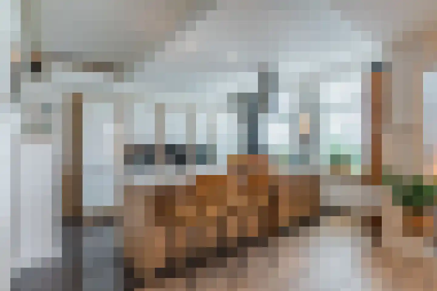 Maasdijk 22 Appeltern thumbnail 6