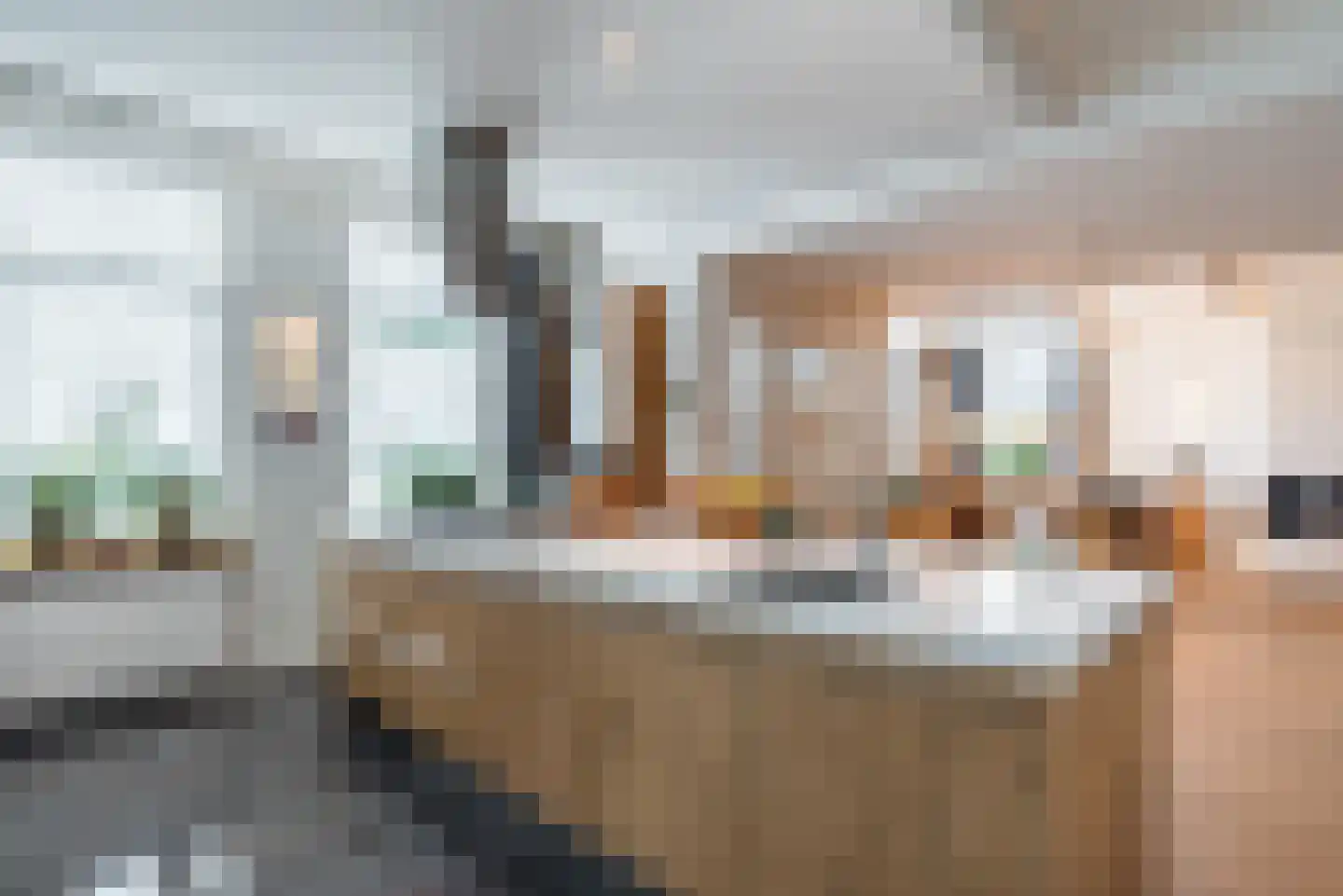 Maasdijk 22 Appeltern thumbnail 8