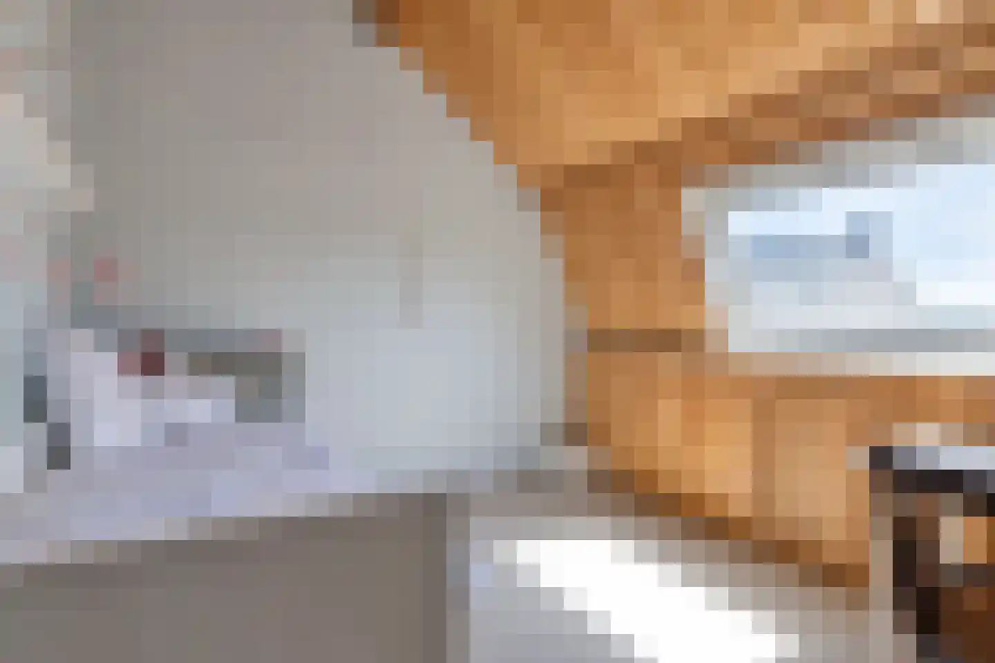 Maasdijk 22 Heerewaarden thumbnail 31