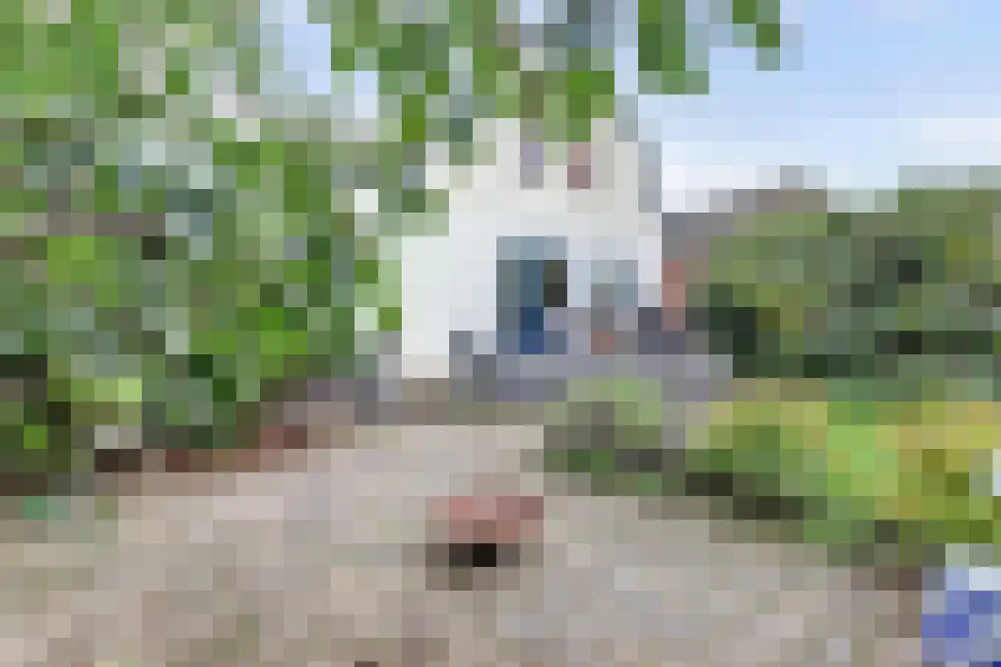 Maasdijk 22 Heerewaarden thumbnail 36