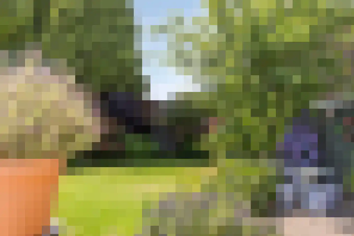 Maasdijk 22 Heerewaarden thumbnail 43
