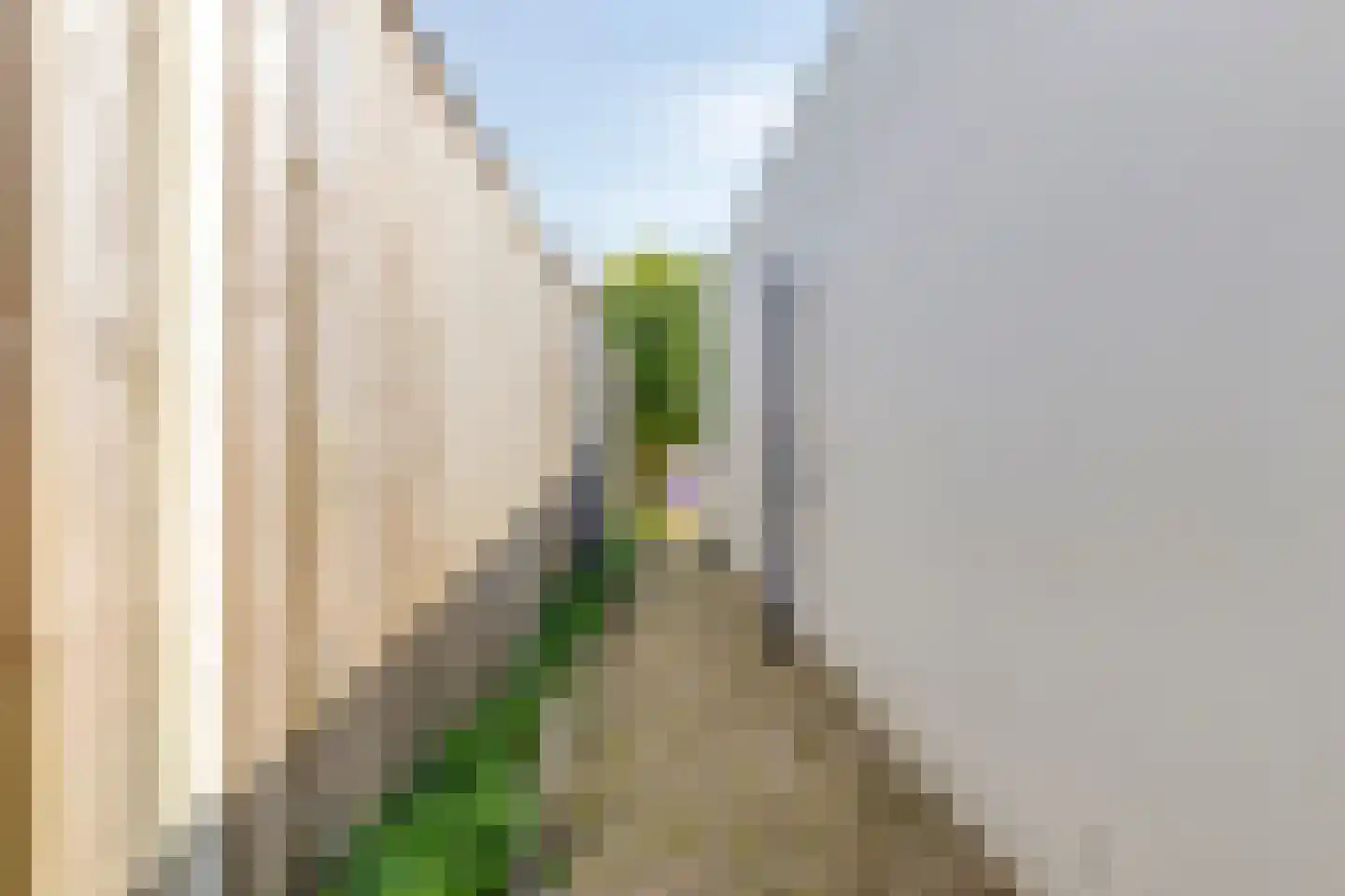 Maasdijk 22 Heerewaarden thumbnail 47