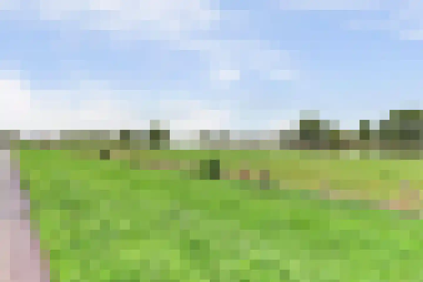 Maasdijk 22 Heerewaarden thumbnail 48