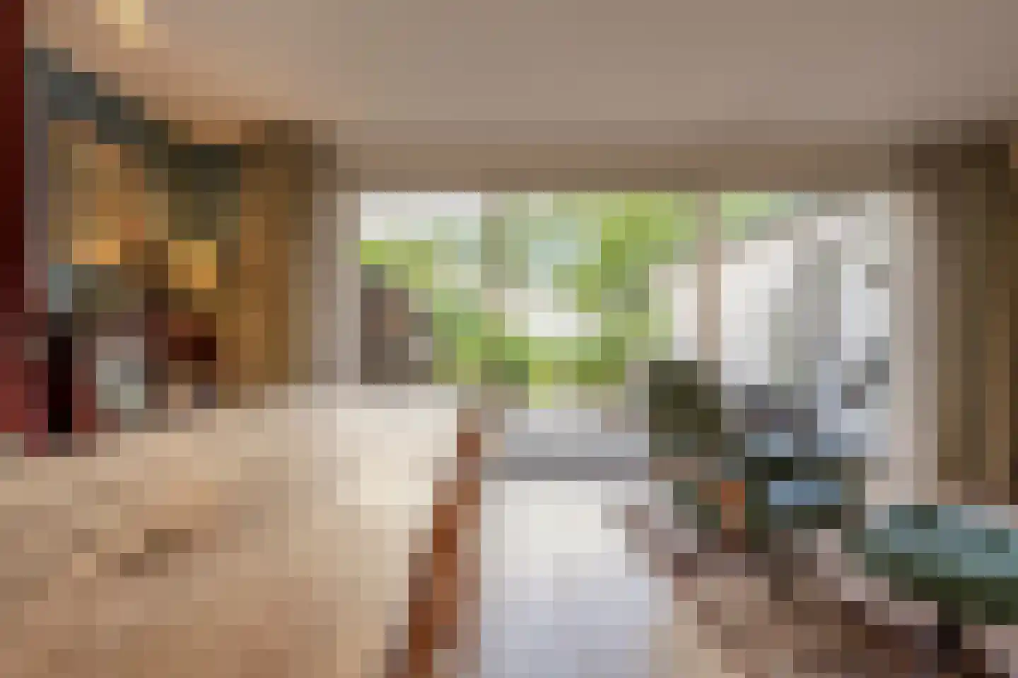 Maasdijk 22 Mijnsheerenland thumbnail 11