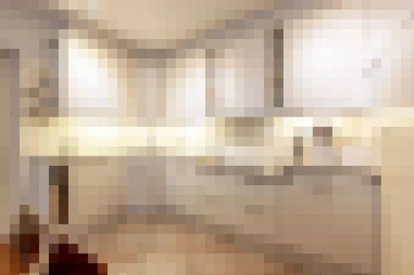 Maasdijk 22 Mijnsheerenland thumbnail 16