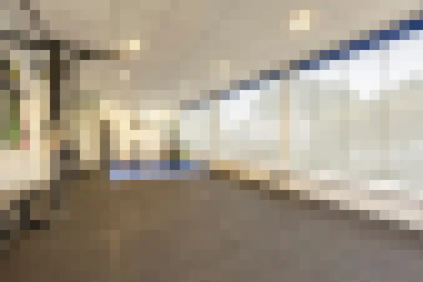 Maasdijk 22 Mijnsheerenland thumbnail 17