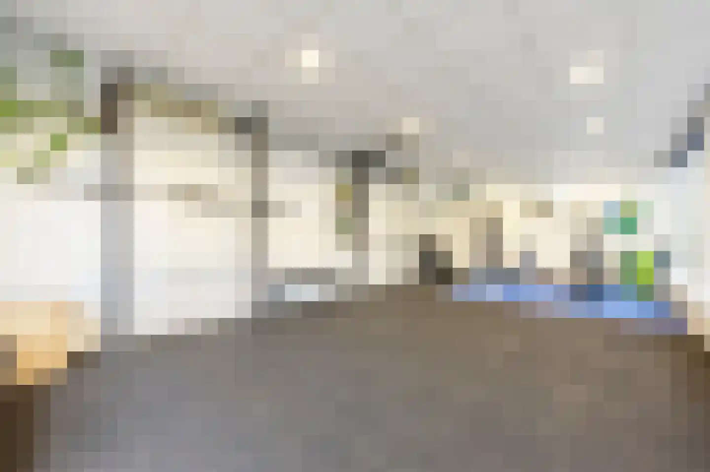 Maasdijk 22 Mijnsheerenland thumbnail 18