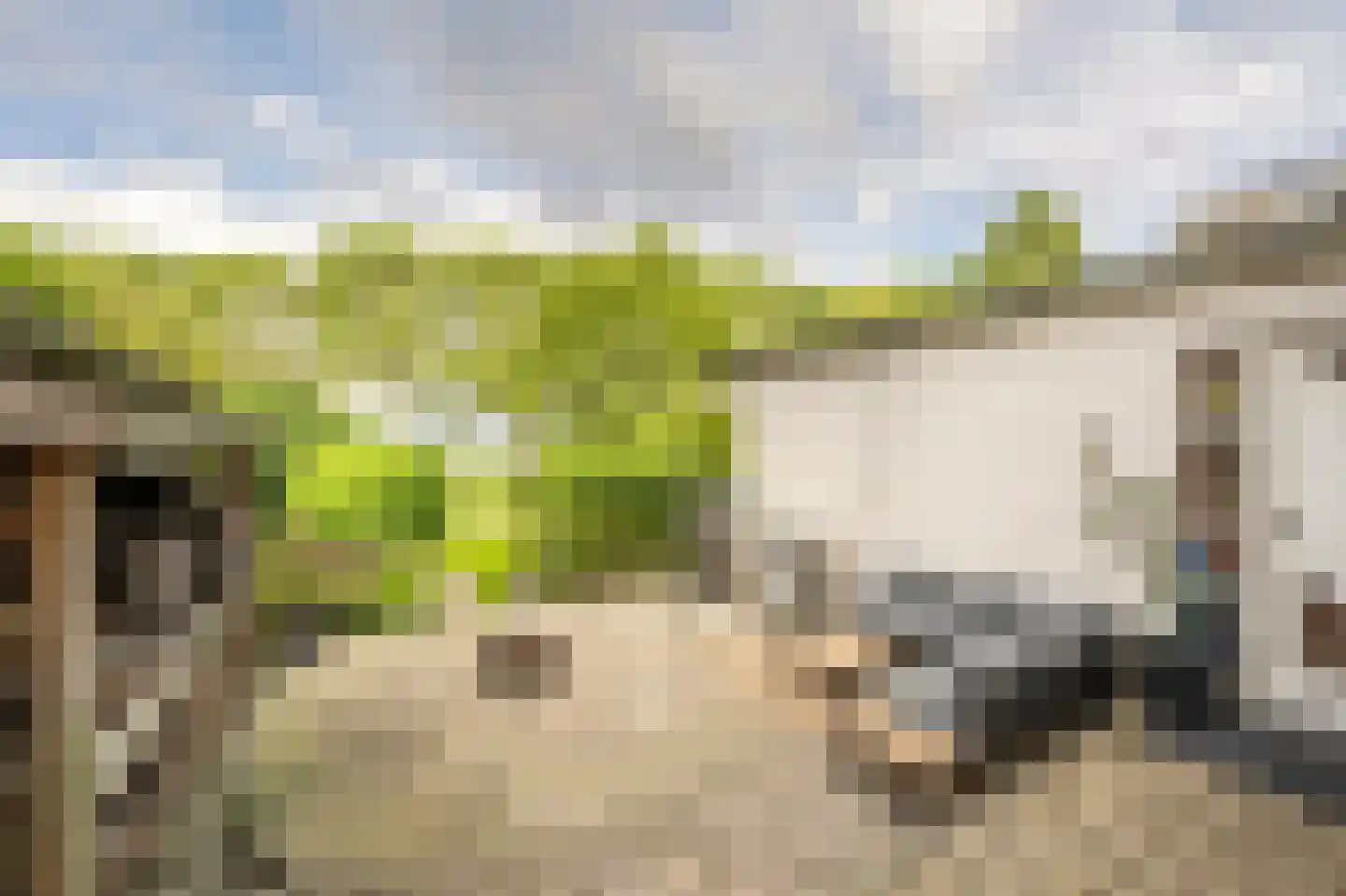 Maasdijk 22 Mijnsheerenland thumbnail 35