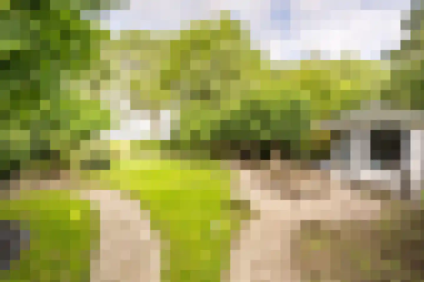 Maasdijk 22 Mijnsheerenland thumbnail 36