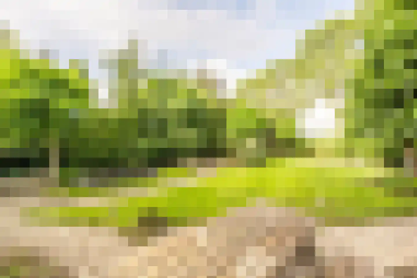Maasdijk 22 Mijnsheerenland thumbnail 37