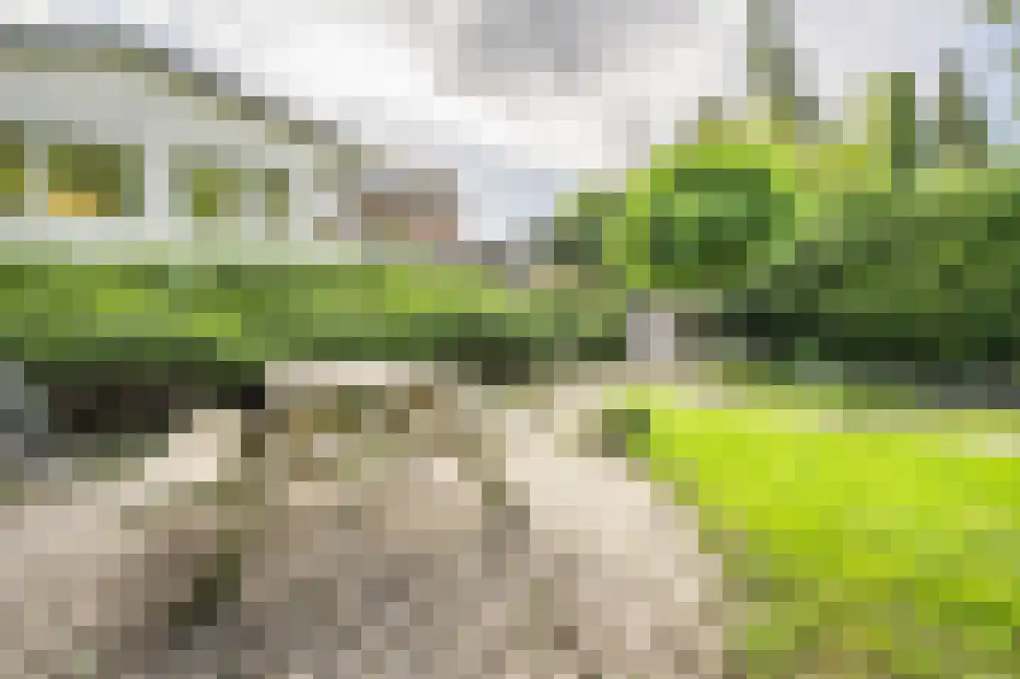 Maasdijk 22 Mijnsheerenland thumbnail 38