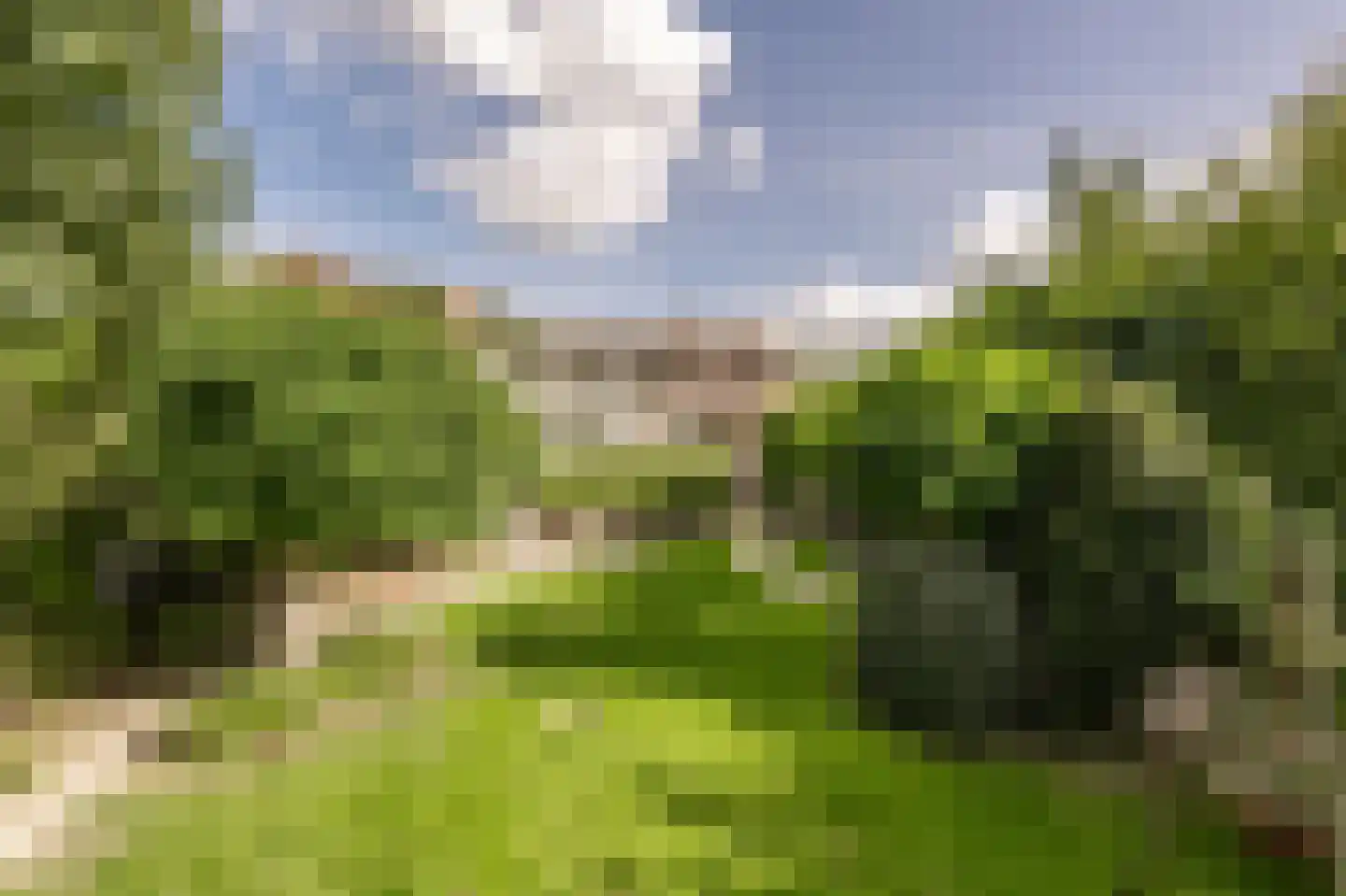 Maasdijk 22 Mijnsheerenland thumbnail 39