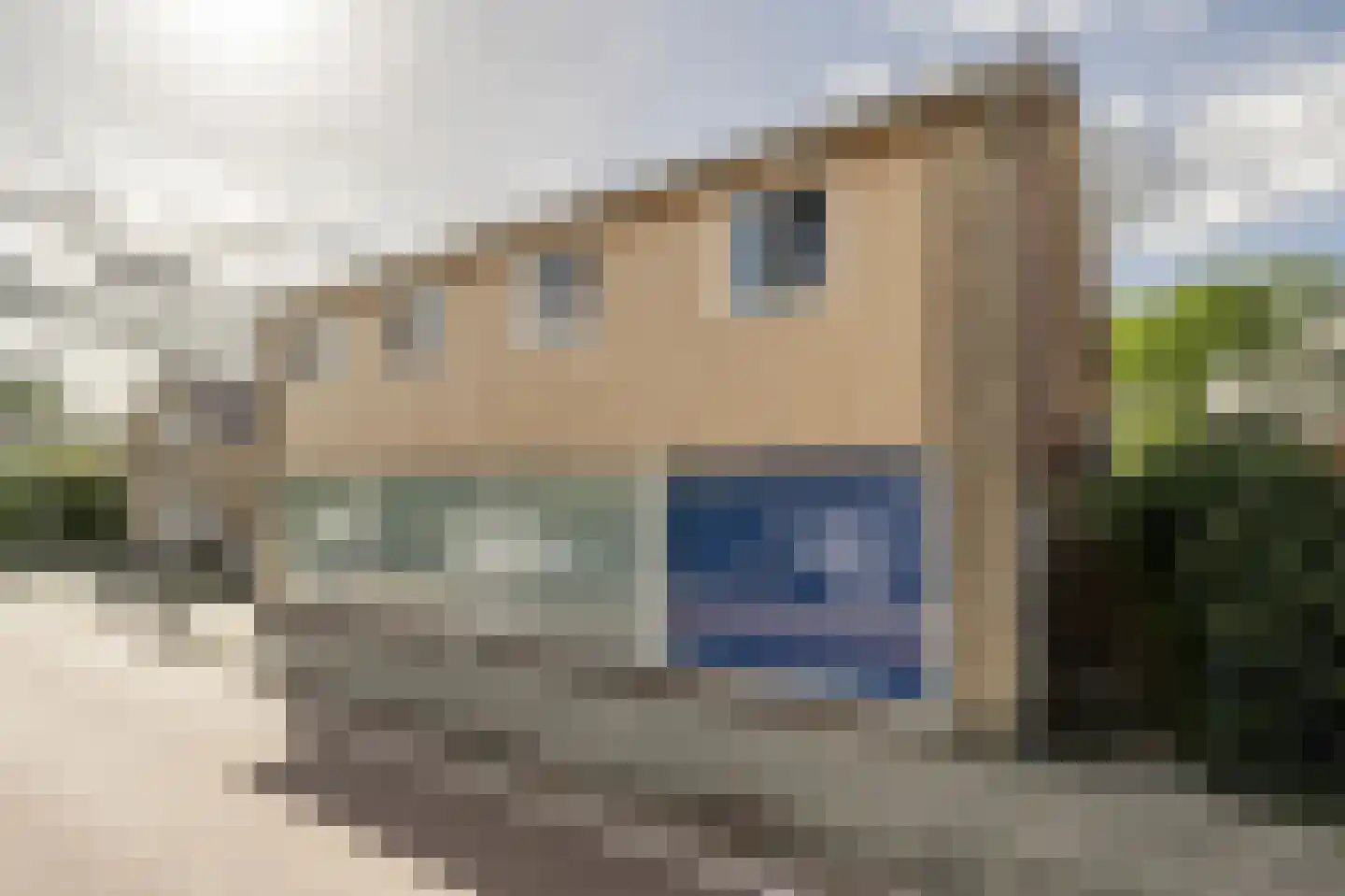Maasdijk 22 Mijnsheerenland thumbnail 40