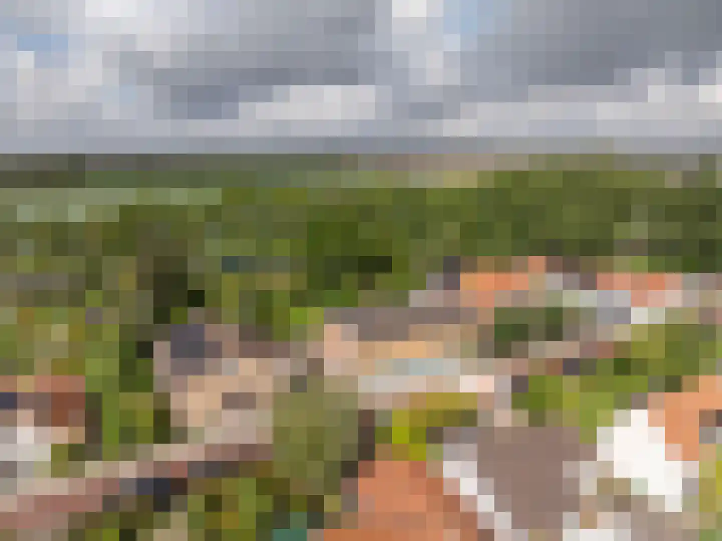 Maasdijk 22 Mijnsheerenland thumbnail 41