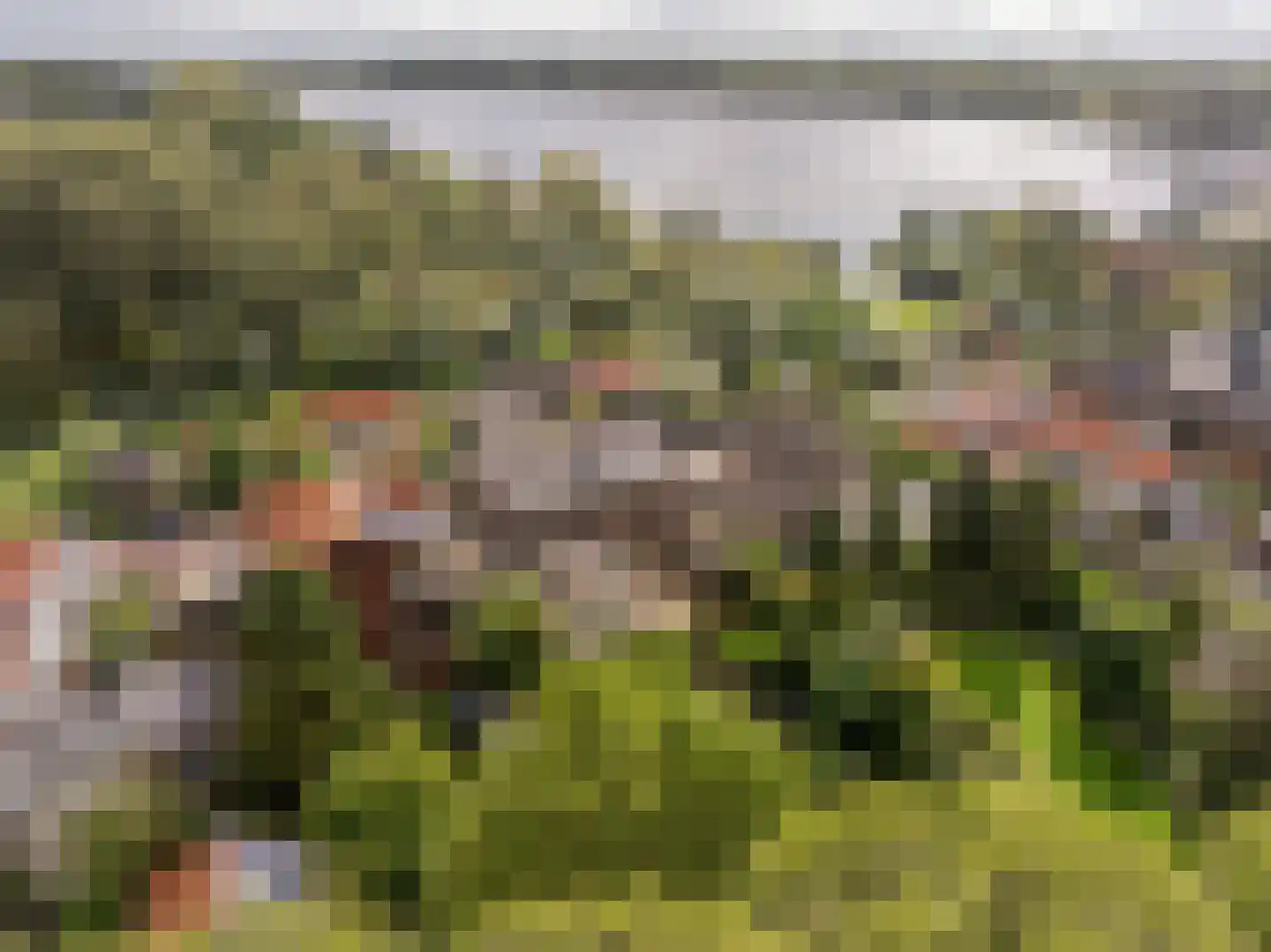 Maasdijk 22 Mijnsheerenland thumbnail 42