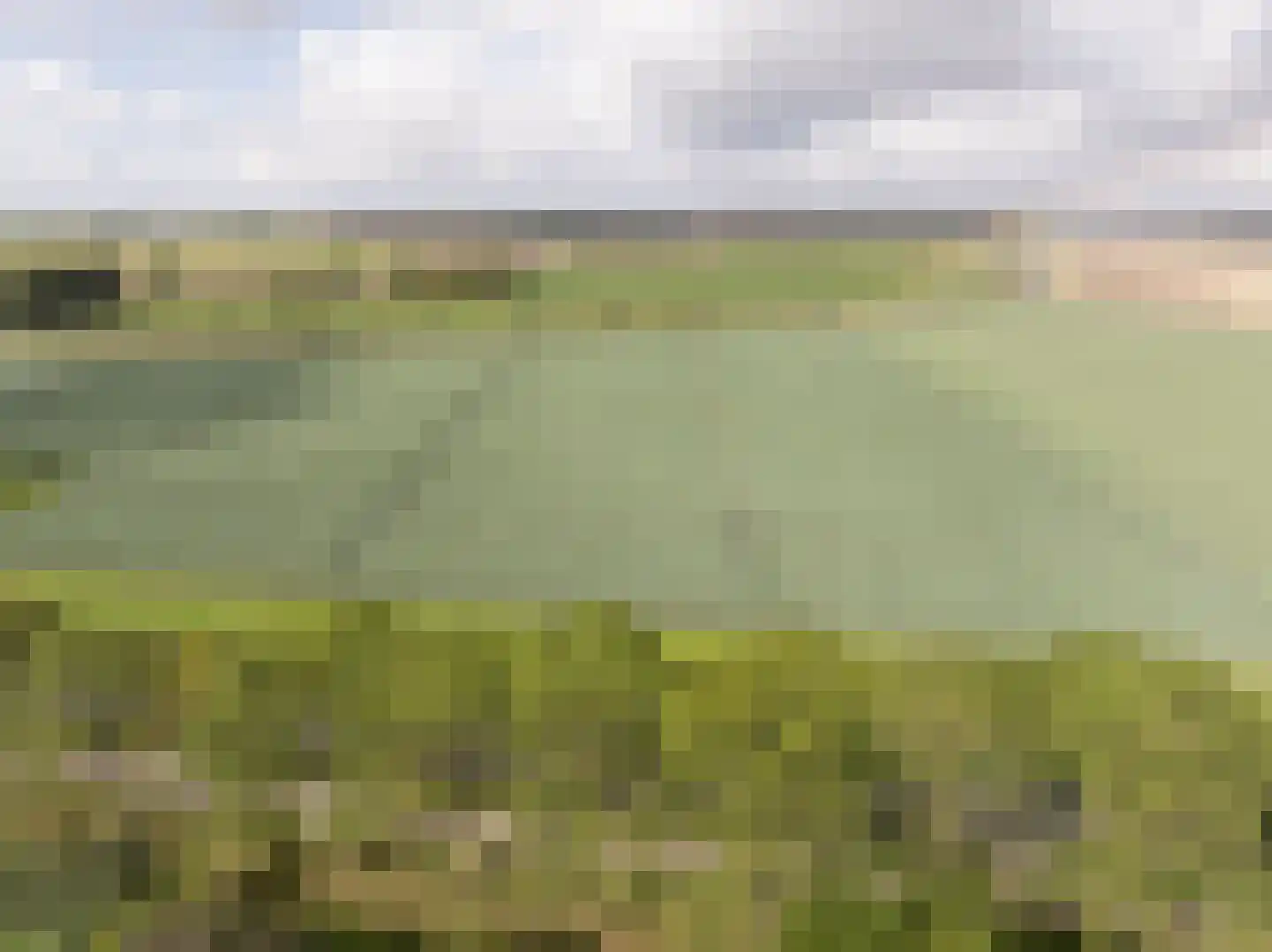 Maasdijk 22 Mijnsheerenland thumbnail 43