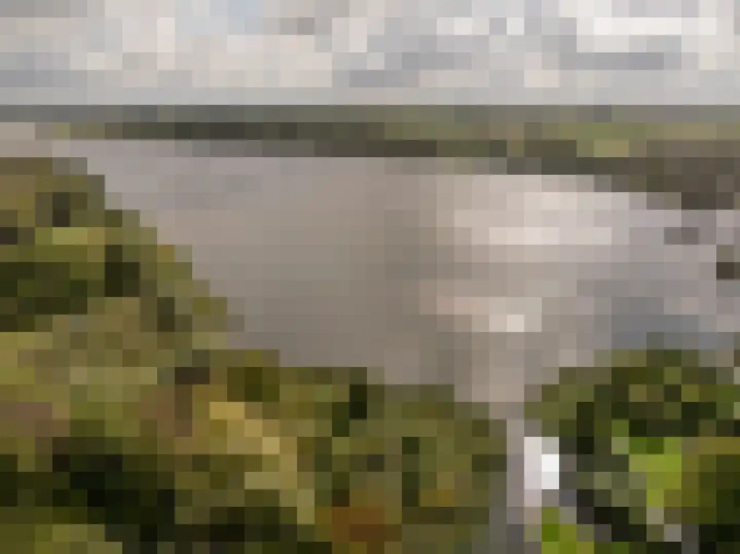 Maasdijk 22 Mijnsheerenland thumbnail 44