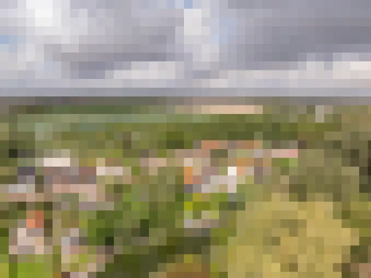 Maasdijk 22 Mijnsheerenland thumbnail 45