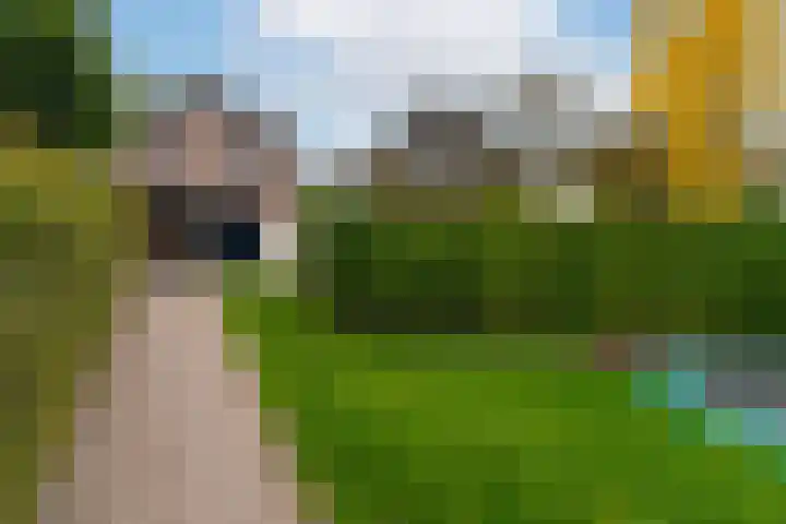 Maasdijk 229 Wijk en Aalburg thumbnail 34