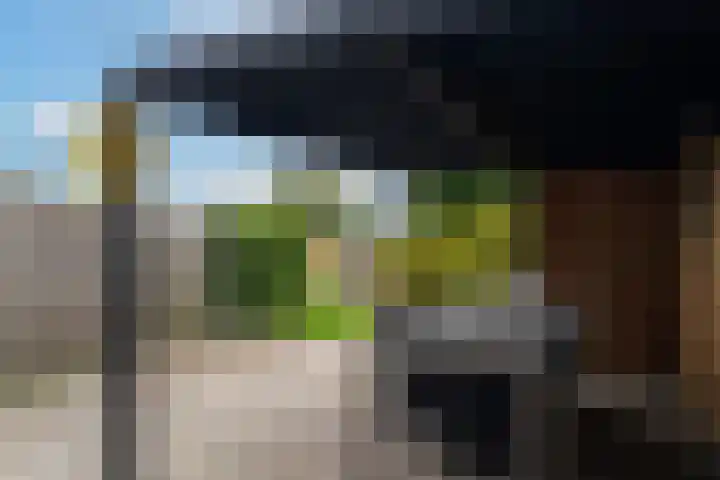Maasdijk 229 Wijk en Aalburg thumbnail 36