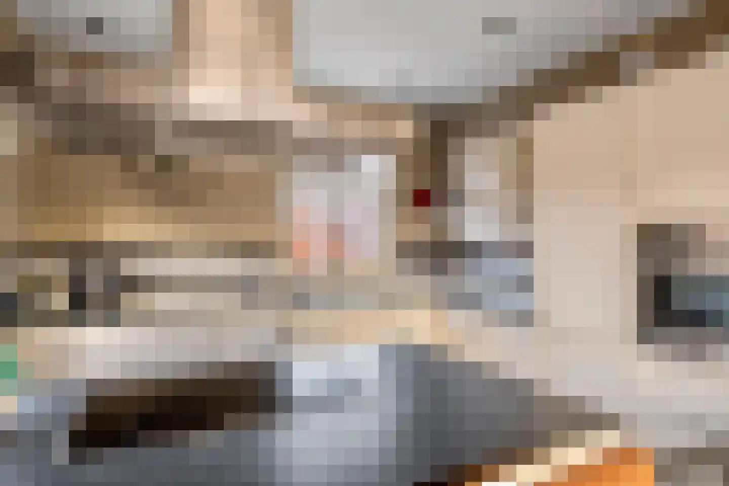 Maasdijk 23 Heerewaarden thumbnail 13