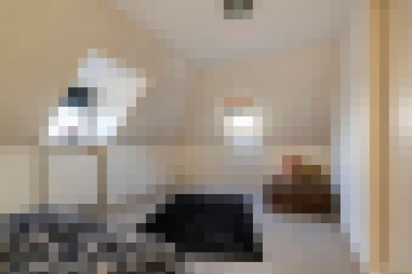 Maasdijk 23 Heerewaarden thumbnail 27