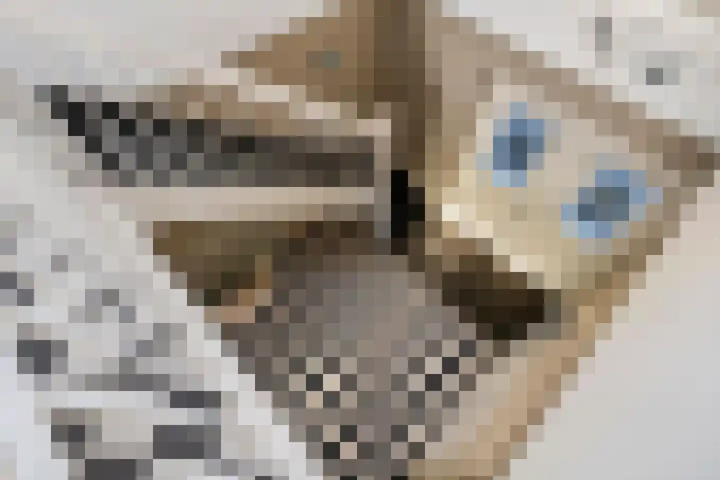 Maasdijk 23 Heerewaarden thumbnail 6