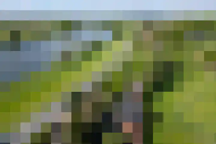 Maasdijk 23 Wijk en Aalburg thumbnail 30