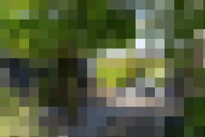Maasdijk 23 Wijk en Aalburg thumbnail 32