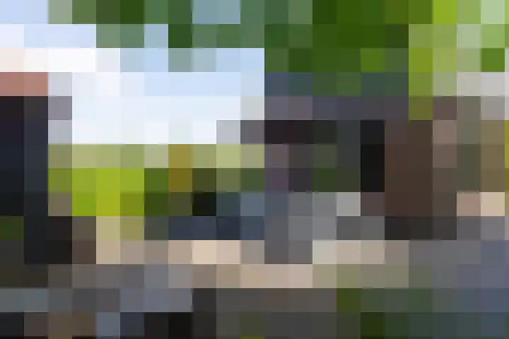 Maasdijk 23 Wijk en Aalburg thumbnail 33