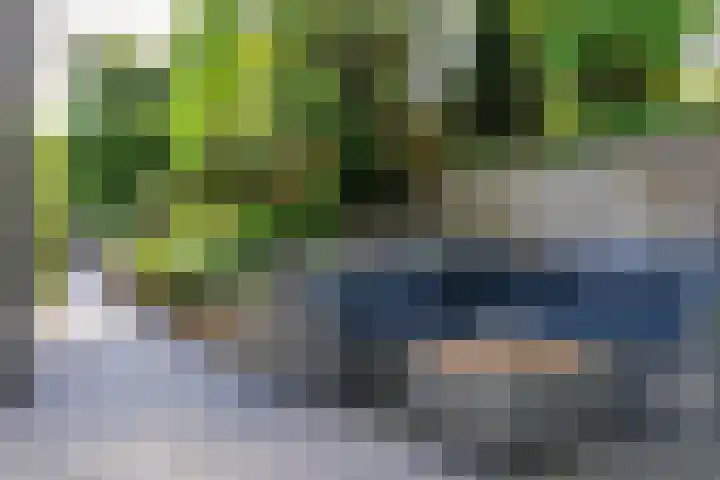 Maasdijk 23 Wijk en Aalburg thumbnail 36