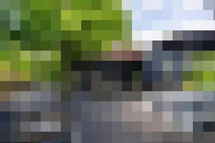 Maasdijk 23 Wijk en Aalburg thumbnail 37